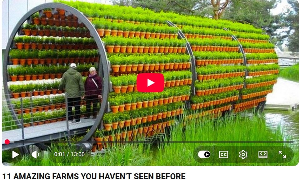 11farns